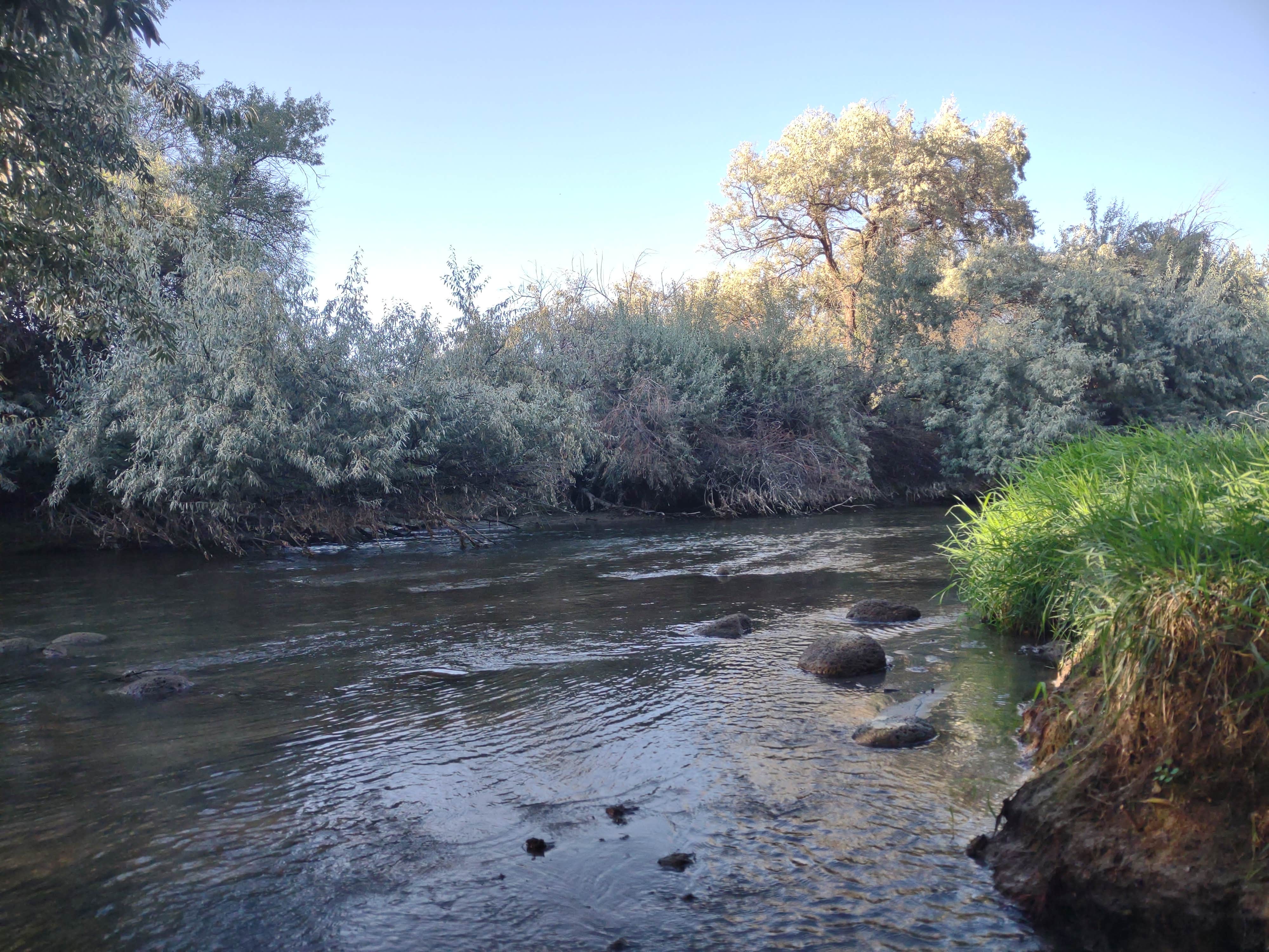 Camper-submitted photo at Miracle Hot Springs near Fairfield, ID