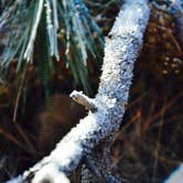 Review photo of Black Canyon Rim Campground (apache-sitgreaves National Forest, Az) by Audrey R., October 30, 2018