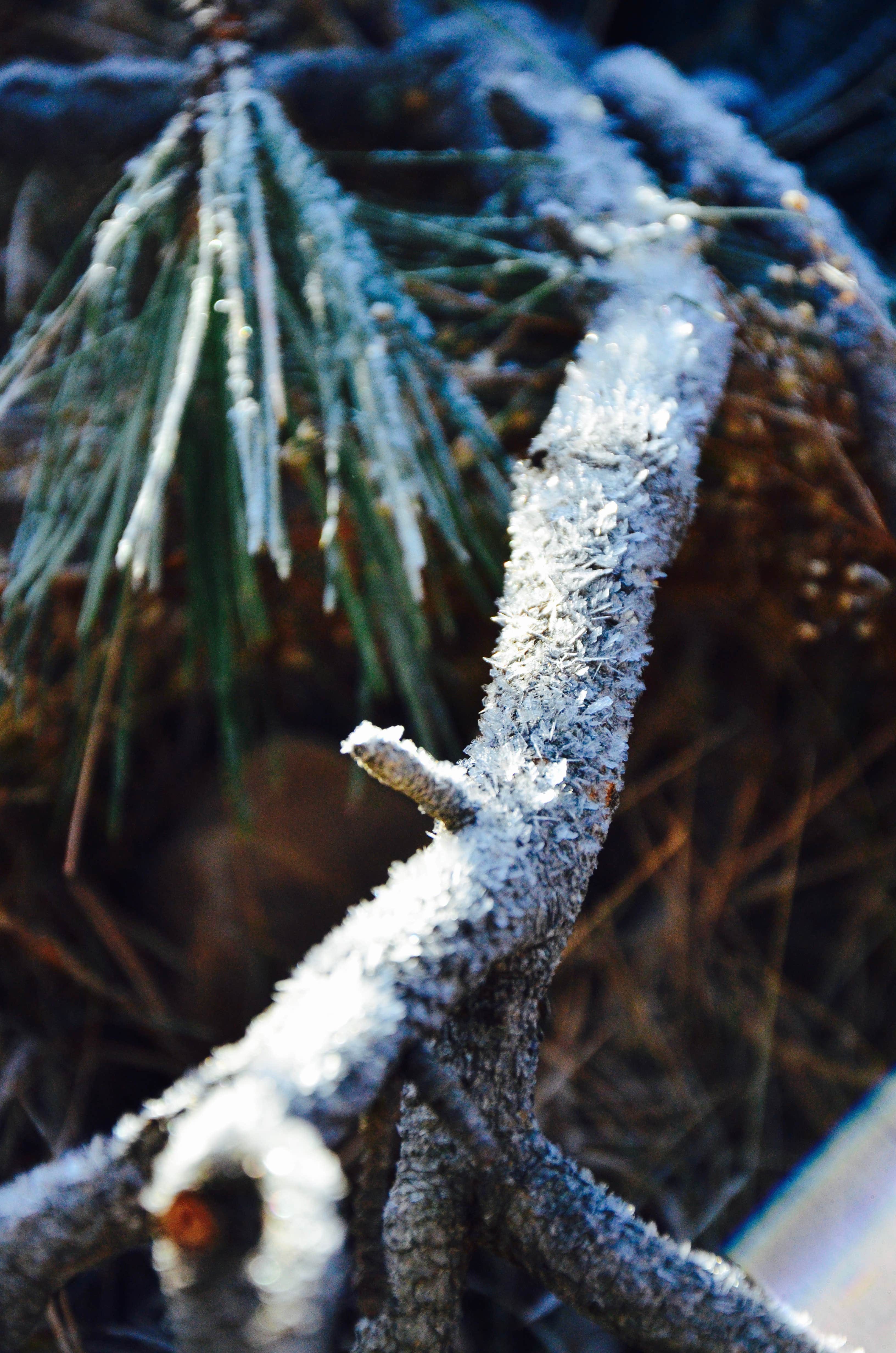 More frost