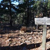 Review photo of Black Canyon Rim Campground (apache-sitgreaves National Forest, Az) by Audrey R., October 30, 2018