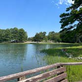 Review photo of Craighead Forest Park by Camille W., September 2, 2023