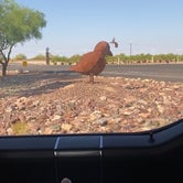 Review photo of Sonoran Desert RV Park by Stuart K., September 2, 2023