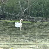 Review photo of Port Crescent State Park Campground by Doug L., September 2, 2023