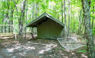 The Dyrt's photo at Wanderland Campground near Whiteside, TN