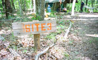 The Dyrt's photo of camping with pets at Wanderland Campground near Whiteside, TN
