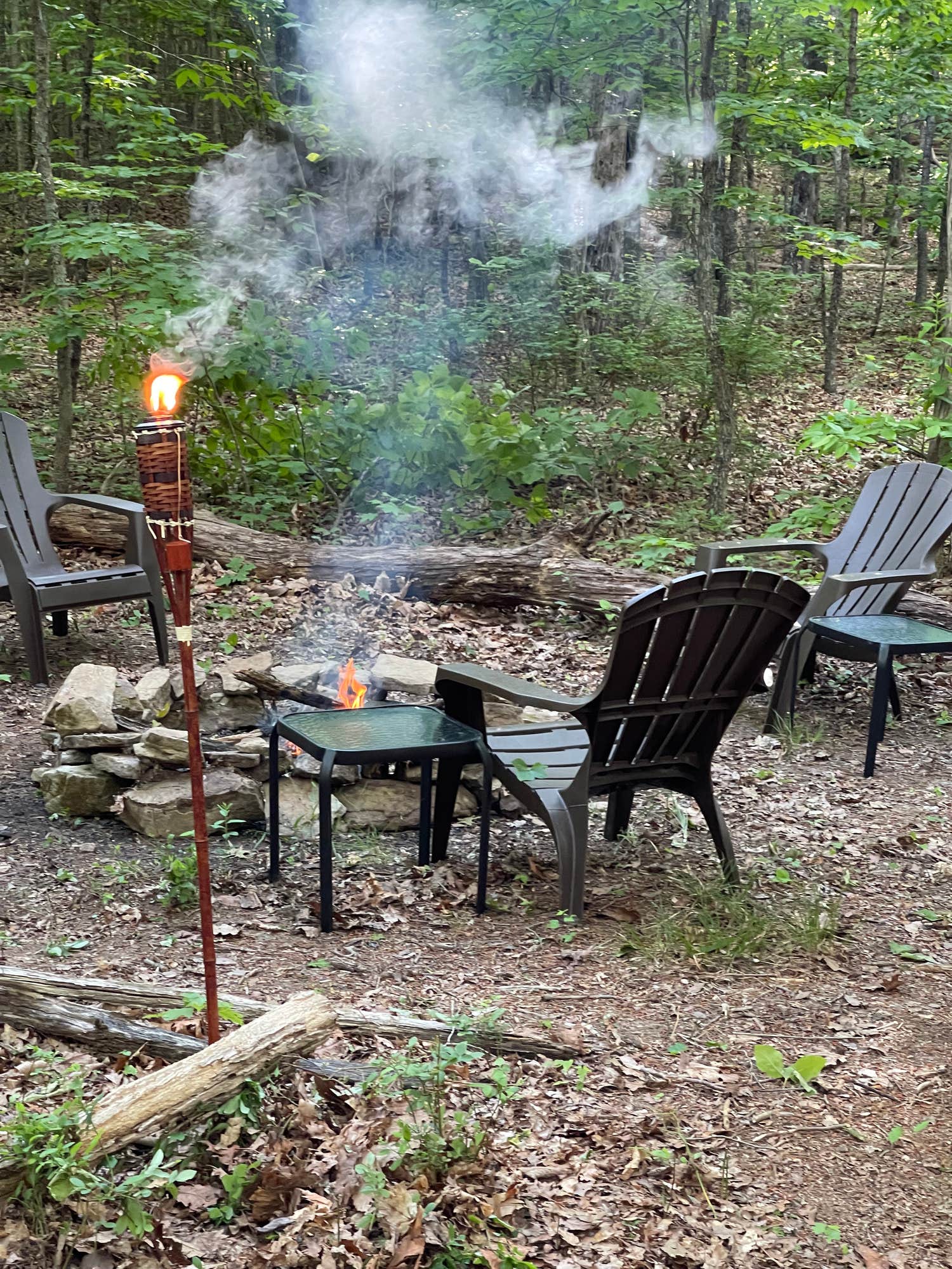 The Dyrt's photo at Wanderland Campground near White Oak, GA