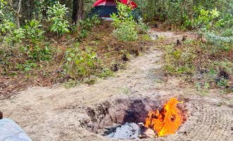 Camping near Homosassa Hippie Hut: Higher Ground, Inverness, Florida