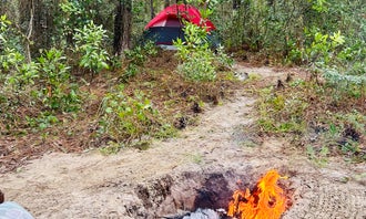 Camping near Rock Crusher Canyon RV Park: Higher Ground, Inverness, Florida