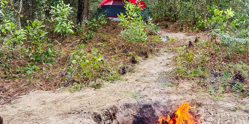 Camper submitted image from Higher Ground