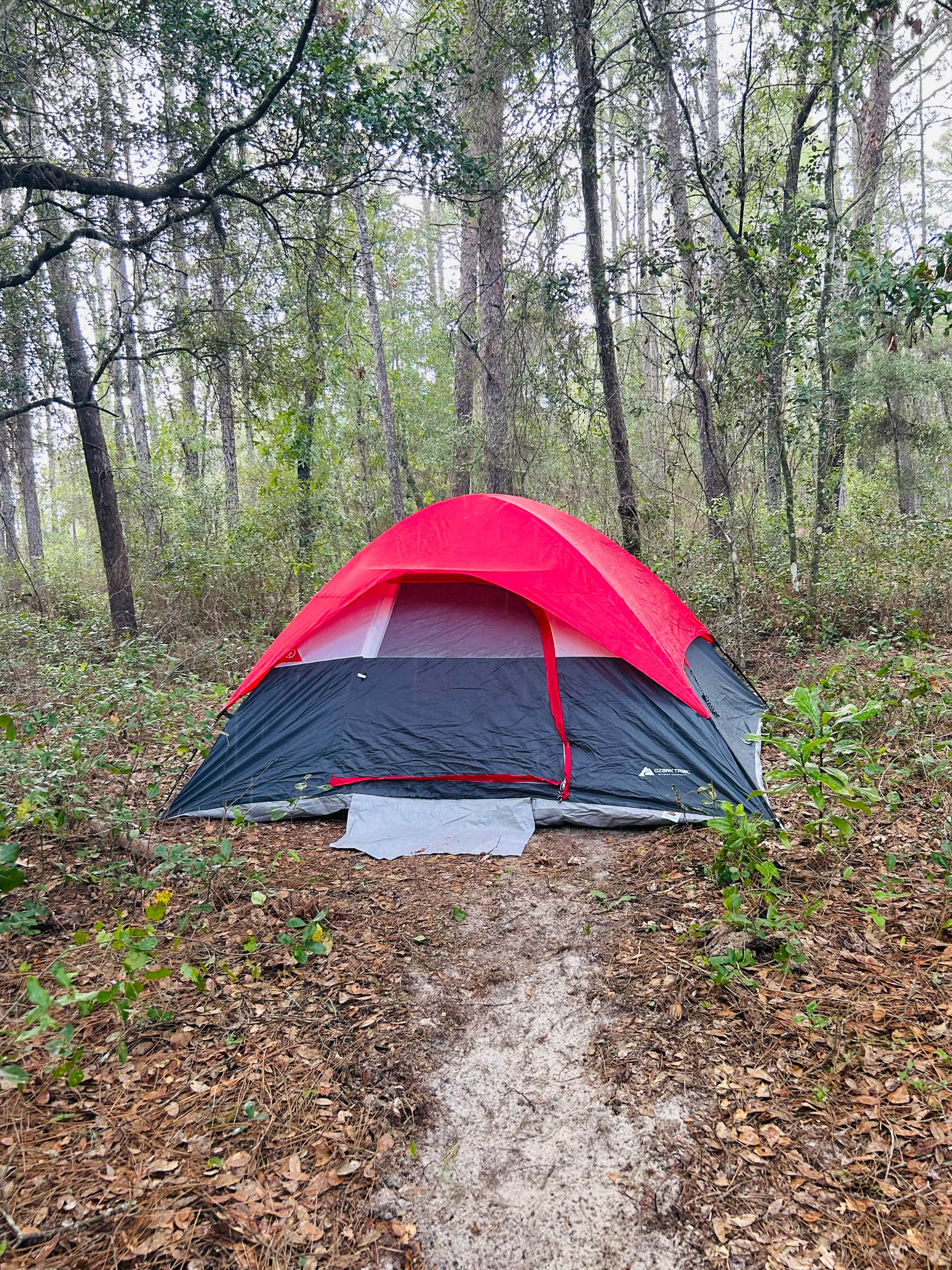 Amy A.'s photo at Higher Ground near Crystal River, FL