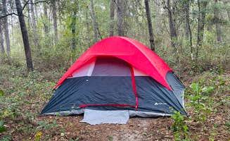 Amy A.'s photo at Higher Ground near Inverness, FL
