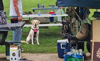 Cassie W.'s photo at Glacier Valley Campground near Beaver Dam, WI