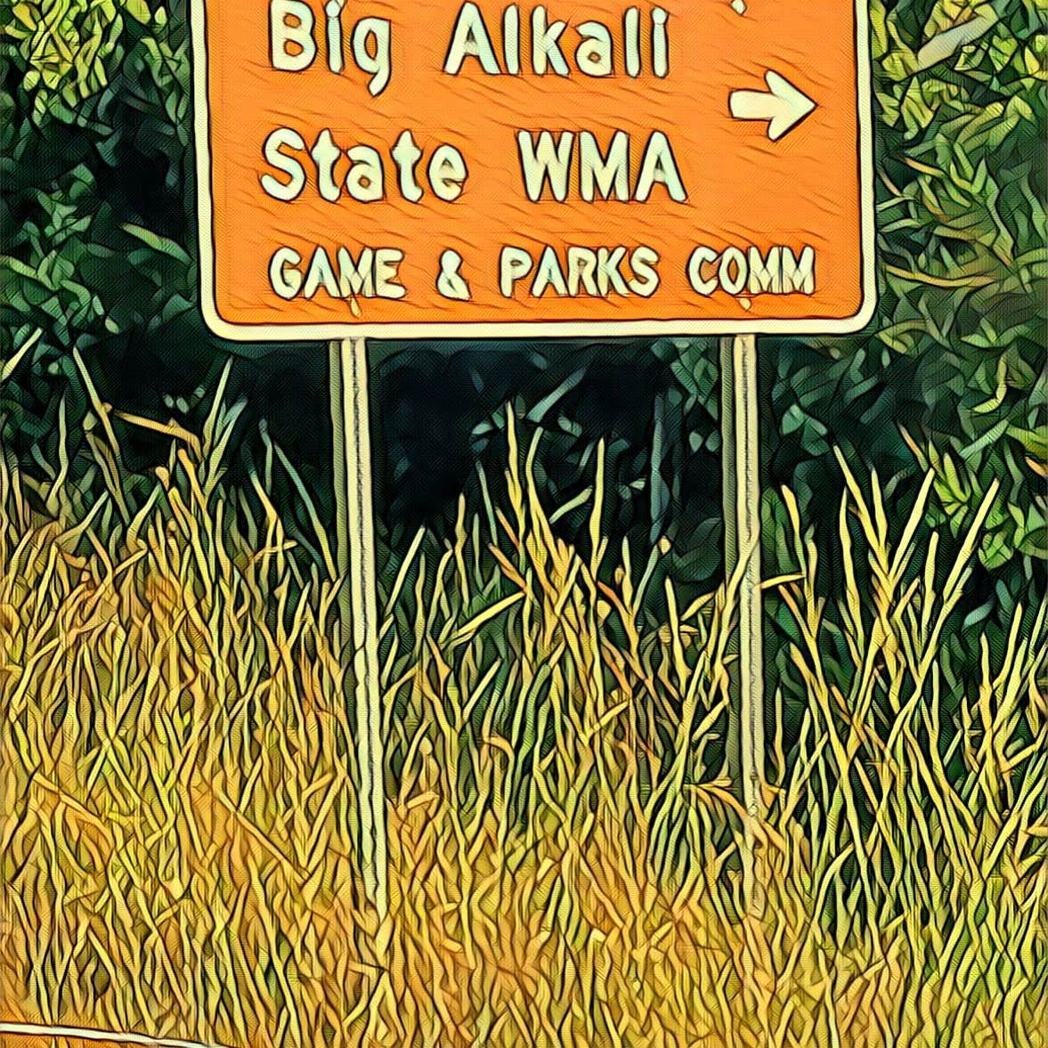 Big Alkali Lake State Wildlife Area Camping Valentine, NE
