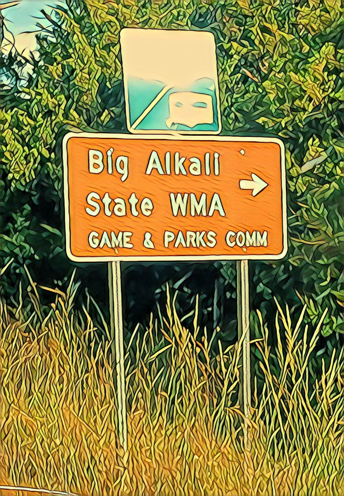 Big Alkali Lake State Wildlife Area Camping Valentine, NE