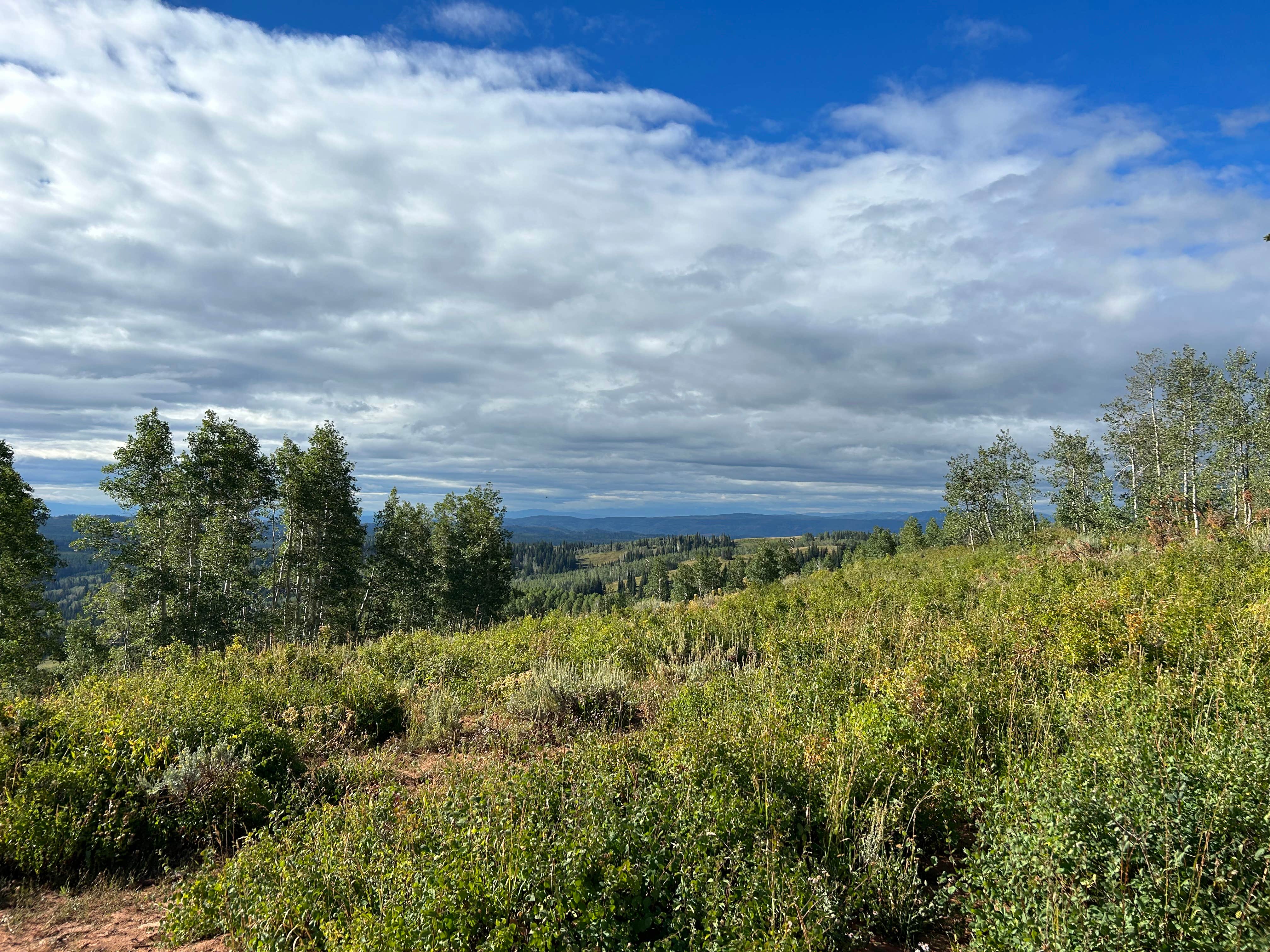 Briana's photo of a dispersed camping area at Dispersed camping near Monte Cristo near Eden, UT