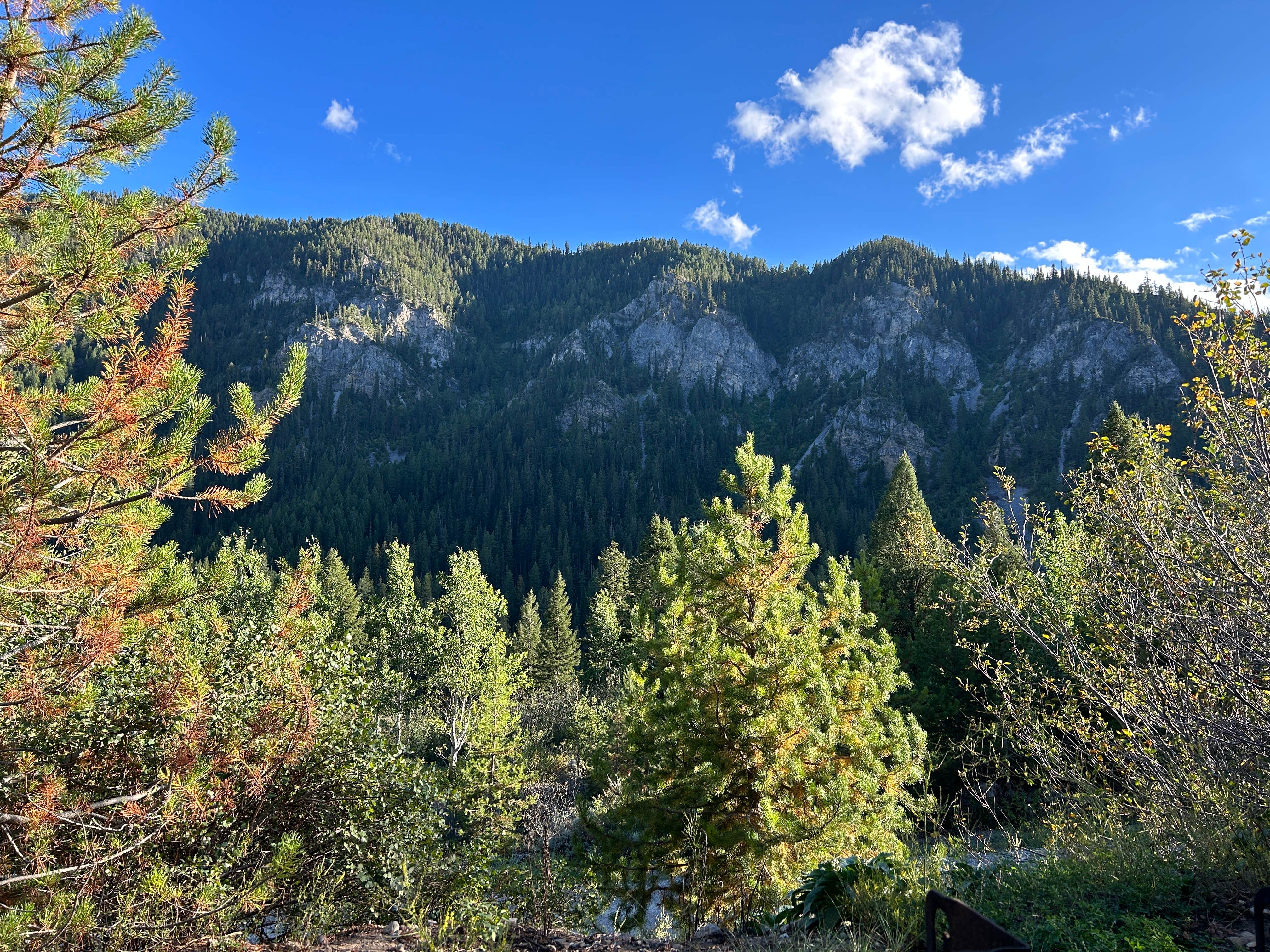 Camper-submitted photo at Wolf Creek Campground near Alpine, WY