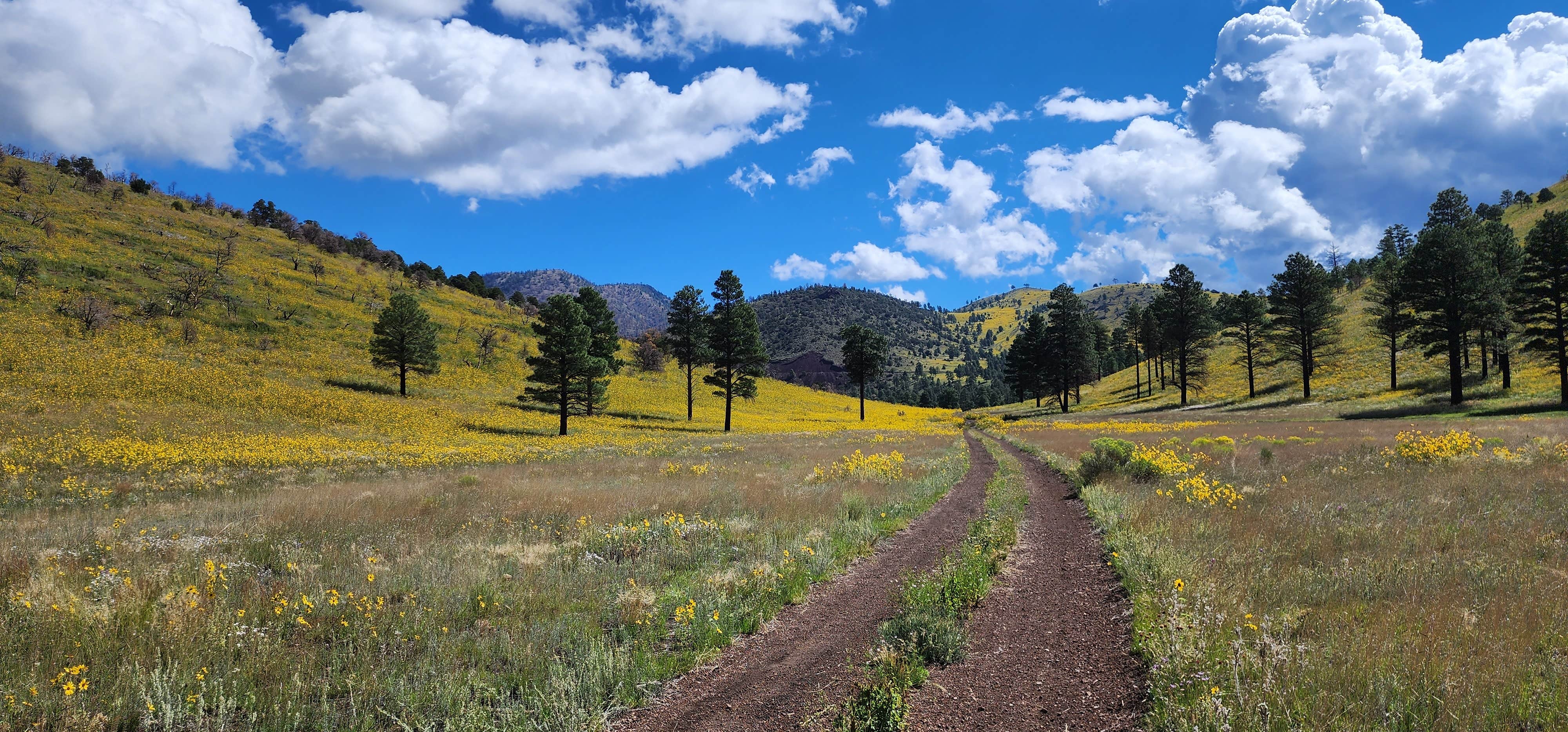 Sebastian W.'s photo of a dispersed camping area at Dispersed Camping around Sunset Crater Volcano NM near Cameron, AZ