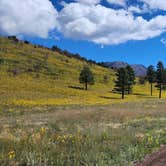 Review photo of Dispersed Camping around Sunset Crater Volcano NM by Sebastian W., September 3, 2023