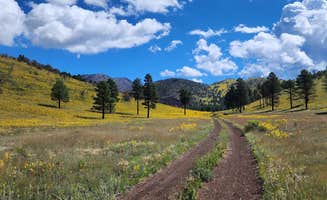 Sebastian W.'s photo of a dispersed camping area at Dispersed Camping around Sunset Crater Volcano NM near Cameron, AZ