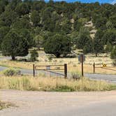 Review photo of Dakota Terraces Campground — Ridgway State Park by Greg L., September 3, 2023
