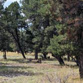 Review photo of Dakota Terraces Campground — Ridgway State Park by Greg L., September 3, 2023