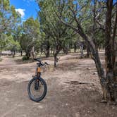 Review photo of Dakota Terraces Campground — Ridgway State Park by Greg L., September 3, 2023