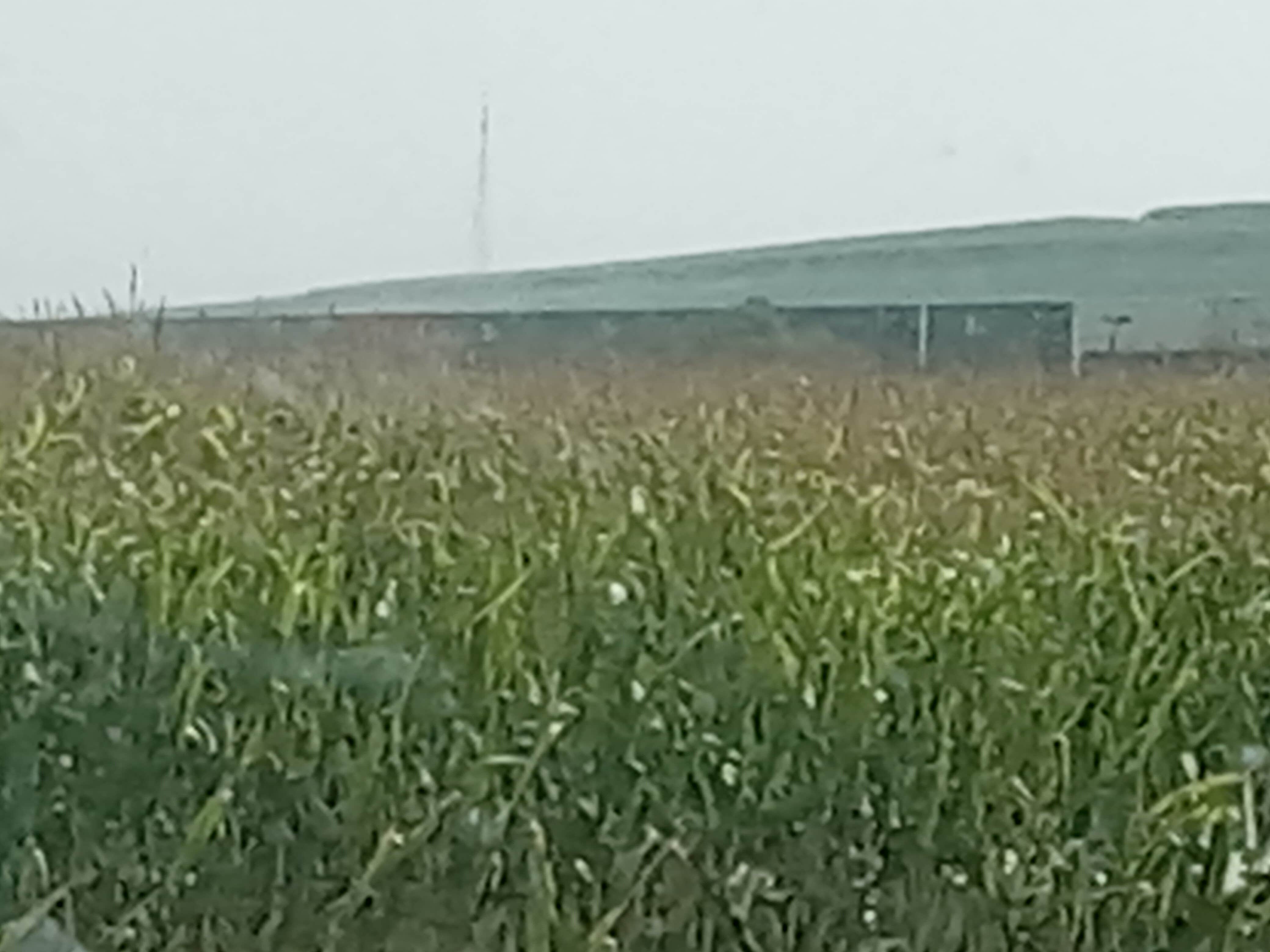 Camper-submitted photo at Moonlite Trails Campground near Milladore, WI