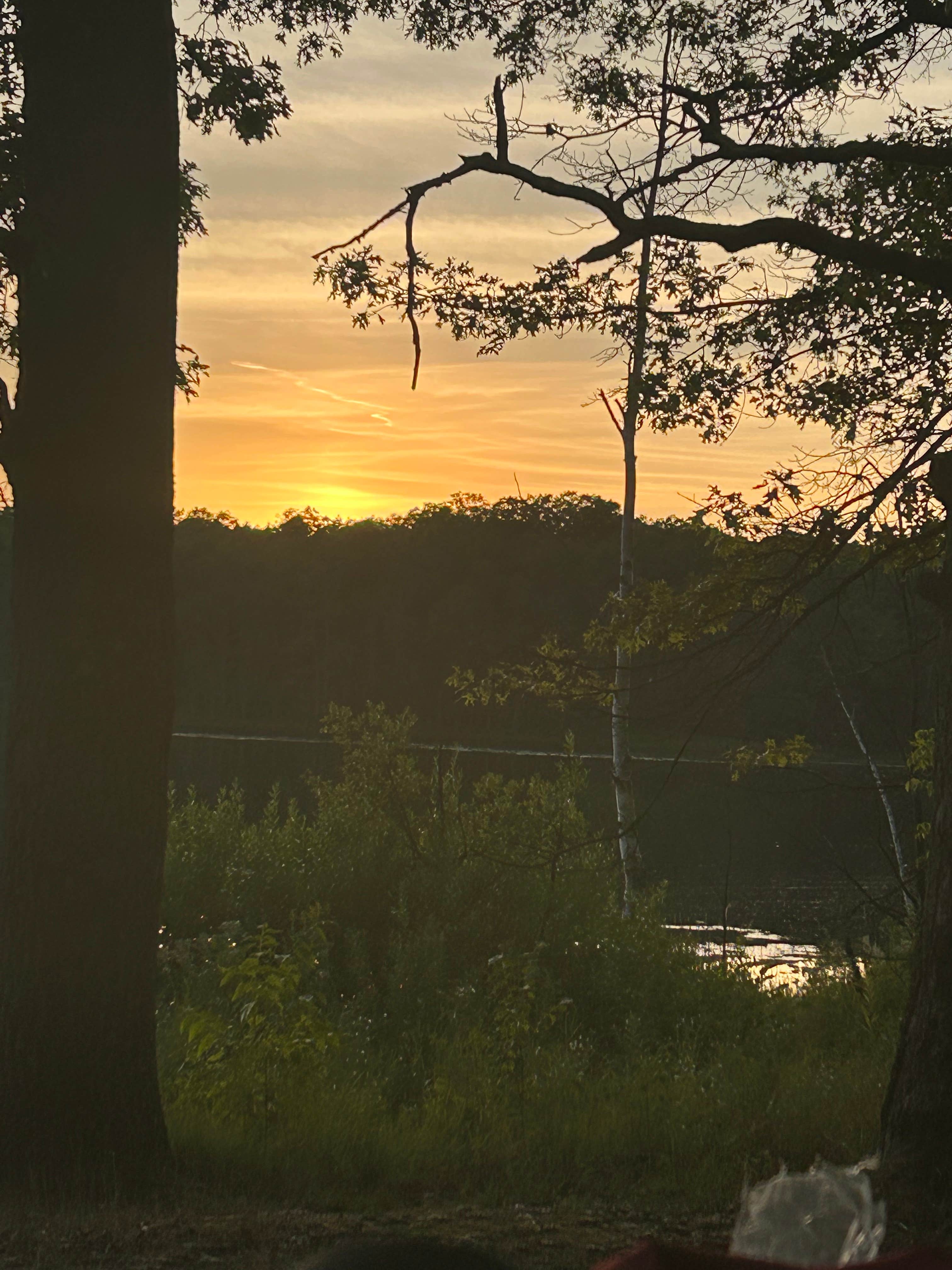 Camping near Minnie Pond Campground: Indian Lake Campground, Bitely, Michigan