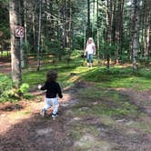 Review photo of Beech Hill Campground and Cabins by Audrey R., October 30, 2018