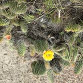 Review photo of Makoshika State Park Campground by Doug L., September 3, 2023