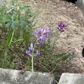 Review photo of Makoshika State Park Campground by Doug L., September 3, 2023