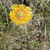 Review photo of Makoshika State Park Campground by Doug L., September 3, 2023