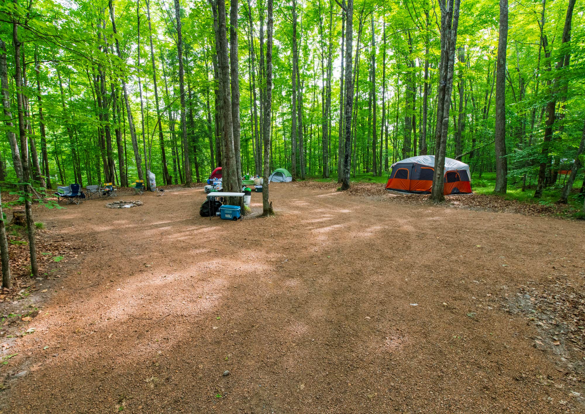 The Dyrt's photo at River Forest Campground And Outdoor Retreats near Townsend, WI