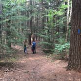 Review photo of Fort Dummer State Park Campground by Audrey R., October 30, 2018