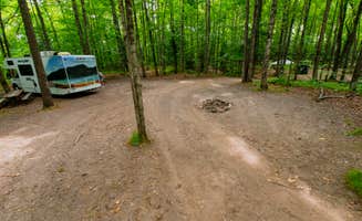 The Dyrt's photo of rv camping at River Forest Campground And Outdoor Retreats near Mountain, WI
