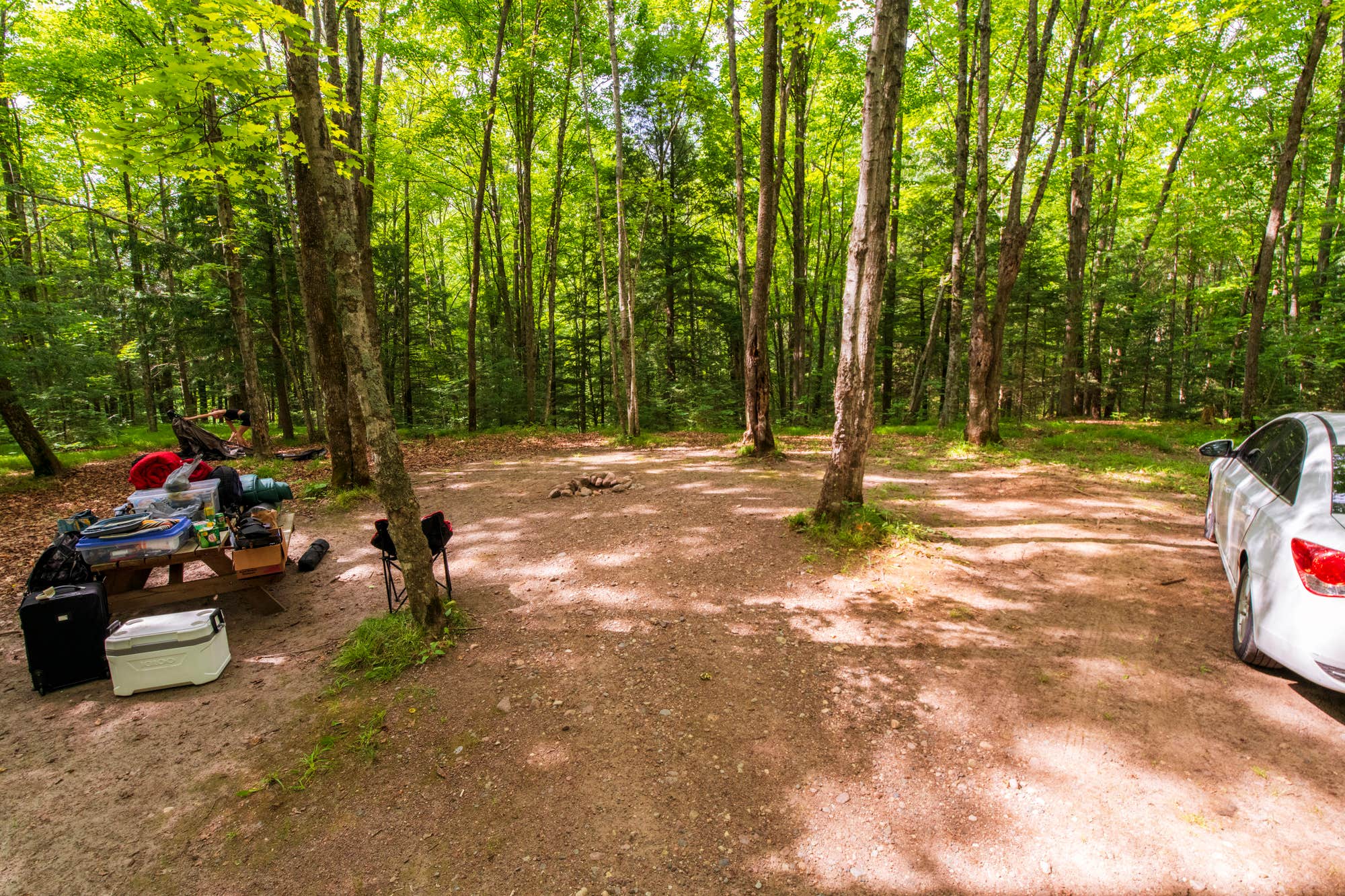 The Dyrt's photo at River Forest Campground And Outdoor Retreats near Oconto Falls, WI