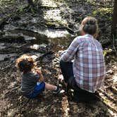 Review photo of Fort Dummer State Park Campground by Audrey R., October 30, 2018