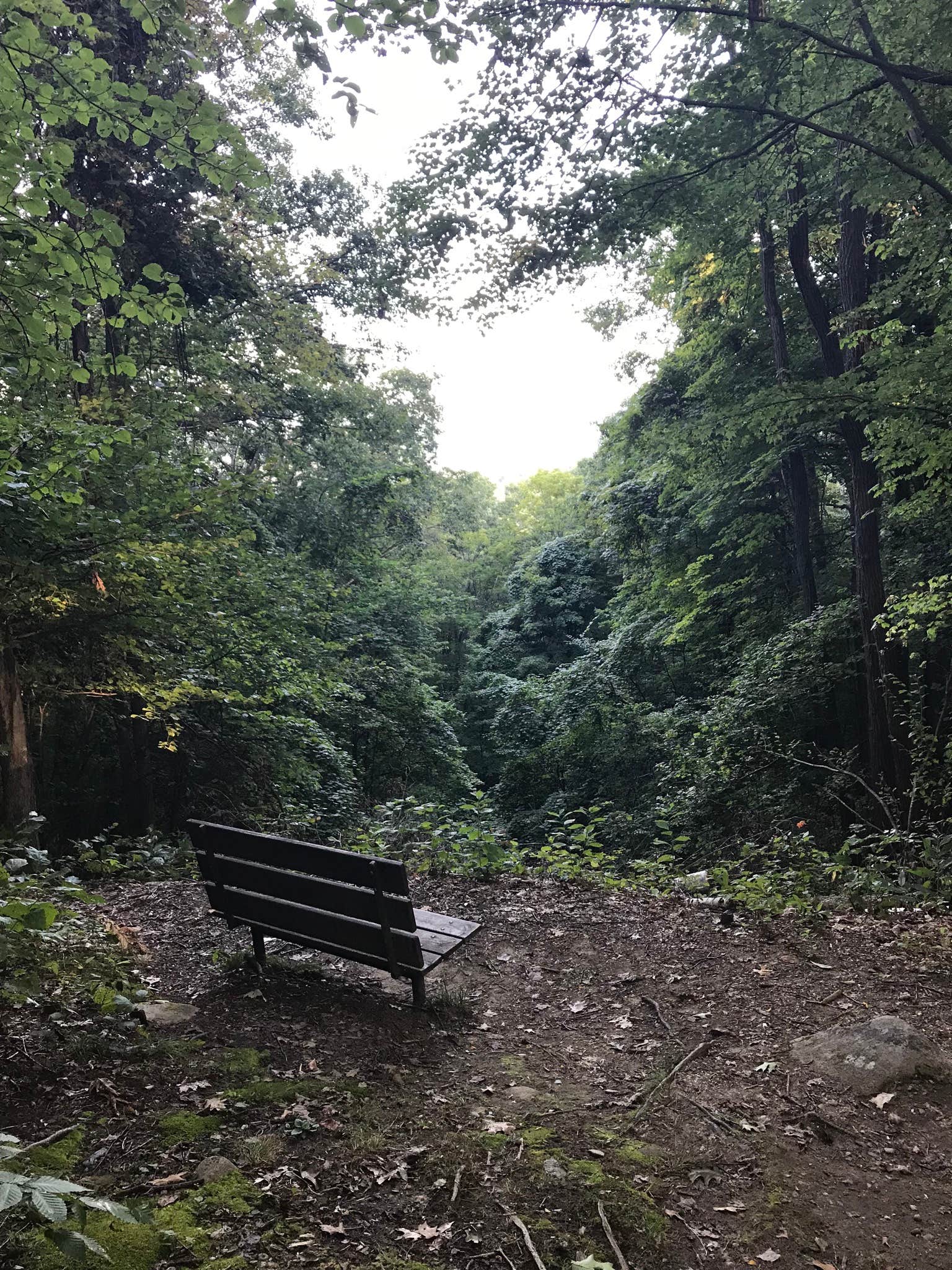 Camper submitted image from Fort Dummer State Park Campground - 5