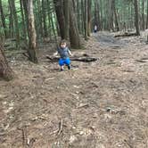 Review photo of Fort Dummer State Park Campground by Audrey R., October 30, 2018