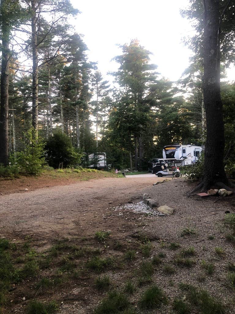 The Dyrt's photo at Pine Ridge Campground near Brookfield, NH