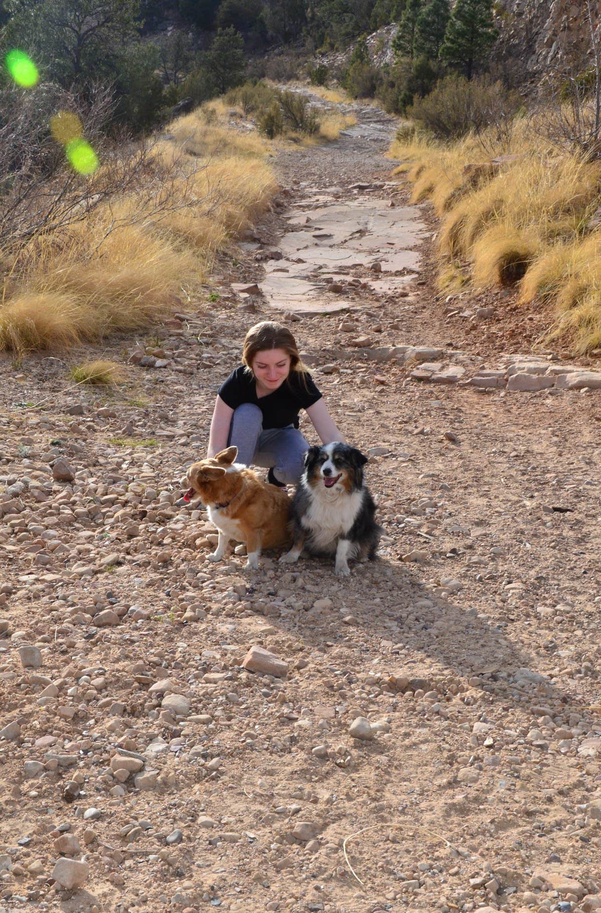 Camper-submitted photo at Chevelon Canyon Lake Campground near Forest Lakes, AZ