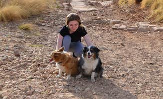 Audrey R.'s photo of camping with pets at Chevelon Canyon Lake Campground near Heber-Overgaard, AZ