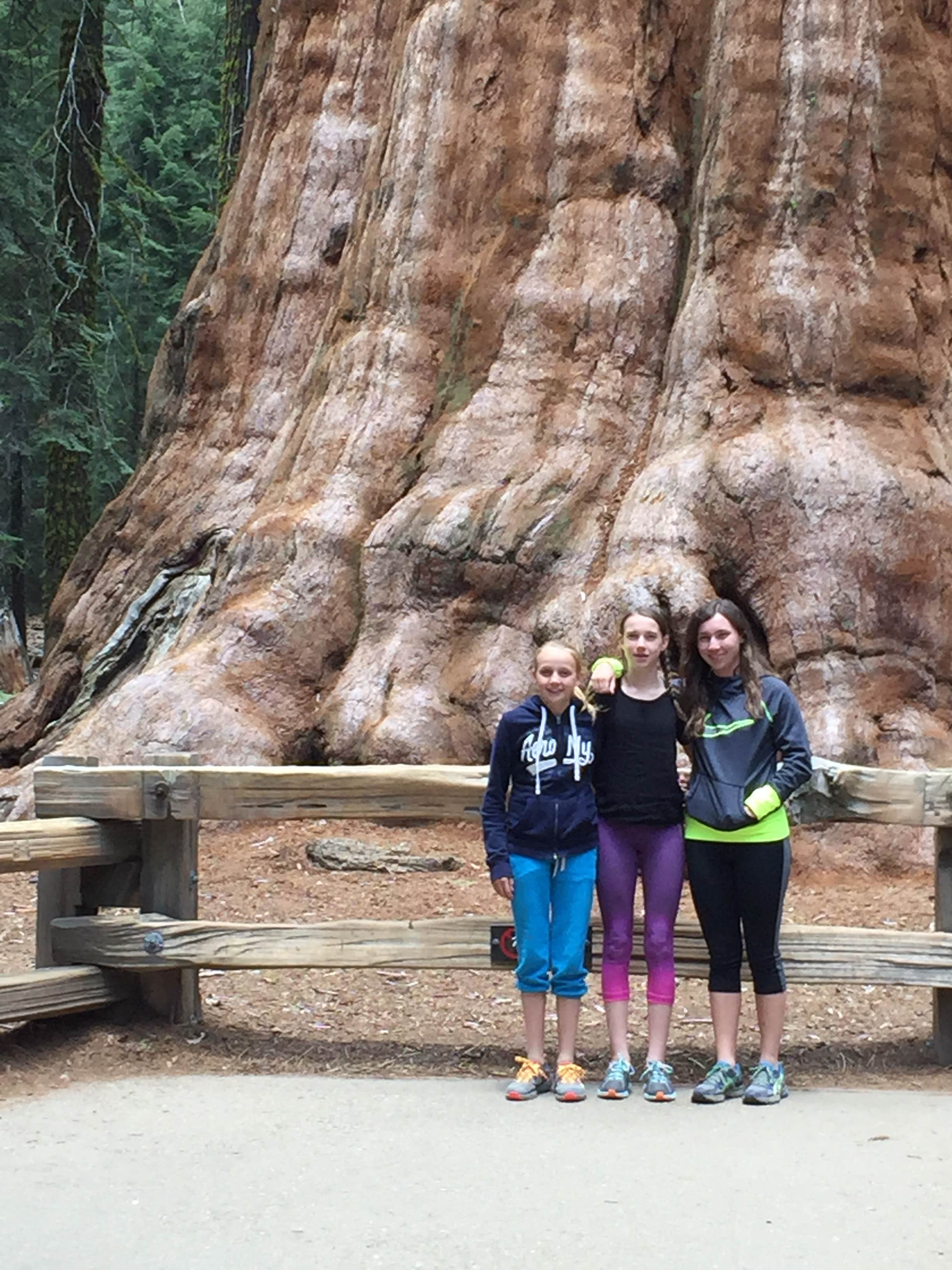 Camper submitted image from Buckeye Flat Campground — Sequoia National Park - 4