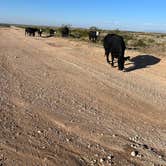 Review photo of Carlsbad Caverns Dispersed by Joseph W., September 4, 2023