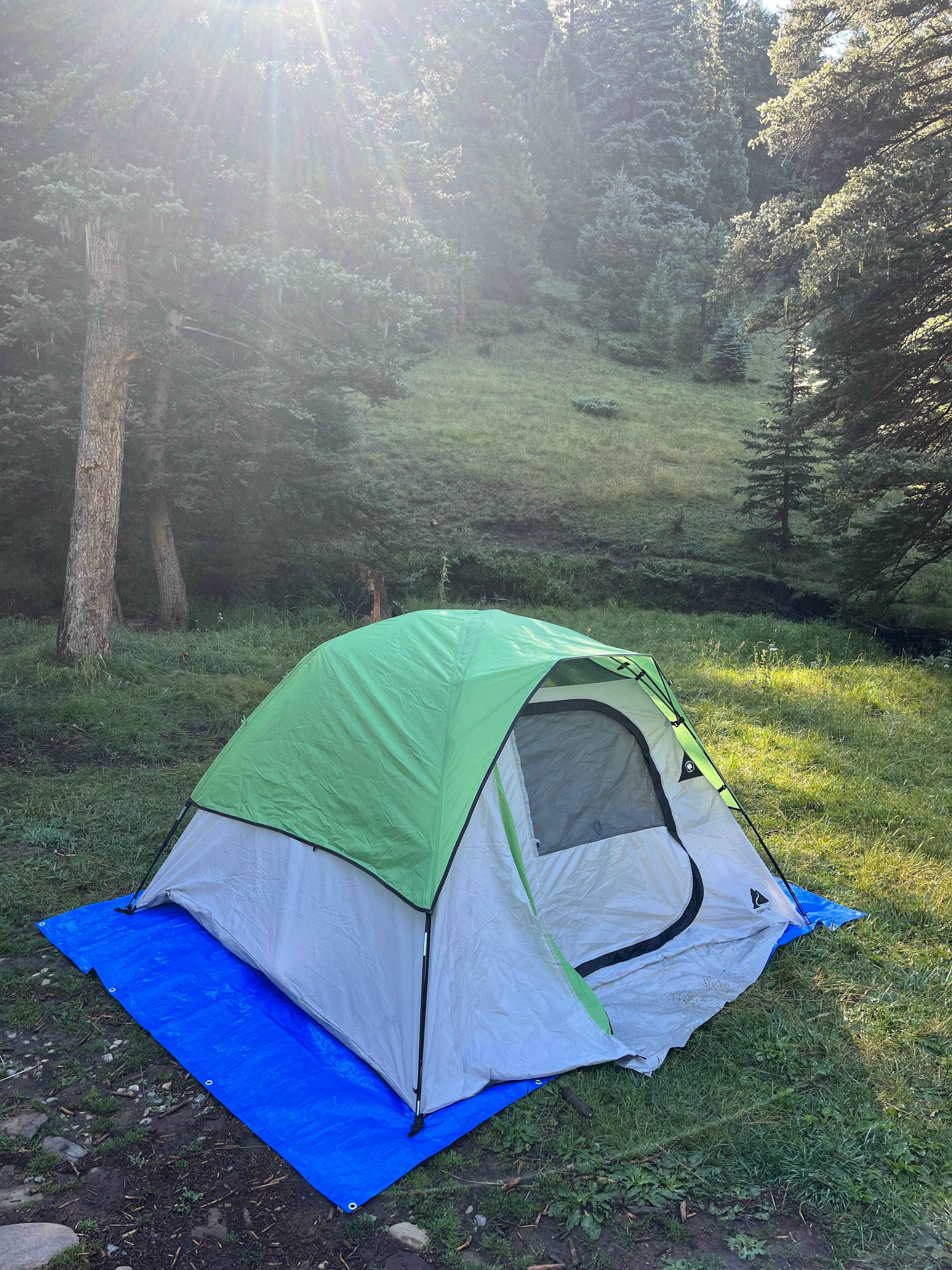 Camper submitted image from Forest Road 5 - Dispersed campsite - 1