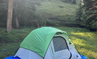 Joseph W.'s photo of a dispersed camping area at Forest Road 5 - Dispersed campsite near Arroyo Seco, NM