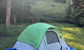 Camping near Forest Service 439: Forest Road 5 - Dispersed campsite - TEMPORARILY CLOSED, Angel Fire, New Mexico