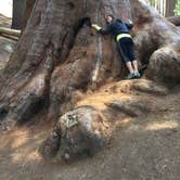 Review photo of Buckeye Flat Campground — Sequoia National Park by Sam M., October 30, 2018