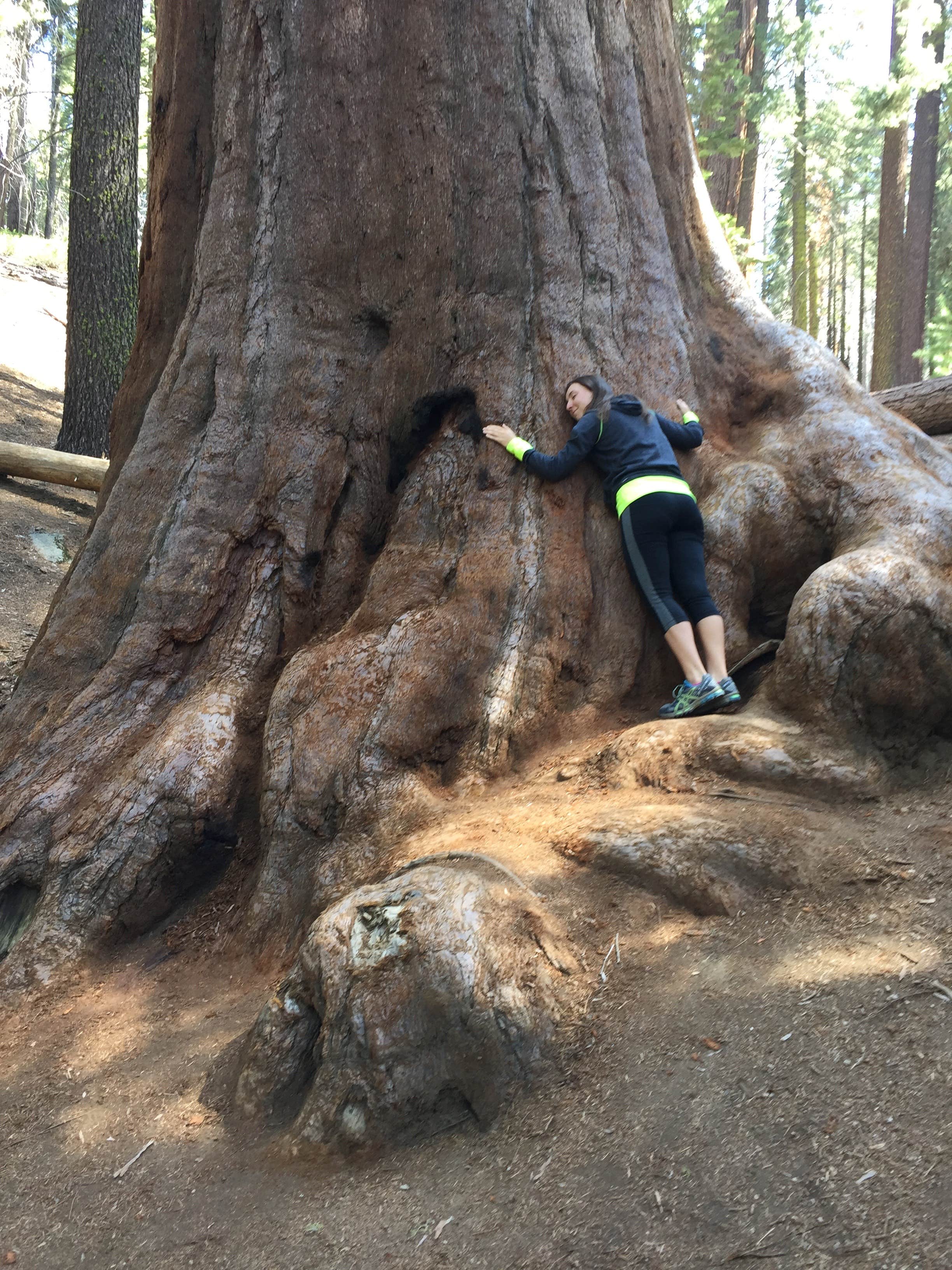 Camper submitted image from Buckeye Flat Campground — Sequoia National Park - 4