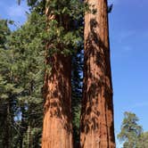 Review photo of Buckeye Flat Campground — Sequoia National Park by Sam M., October 30, 2018